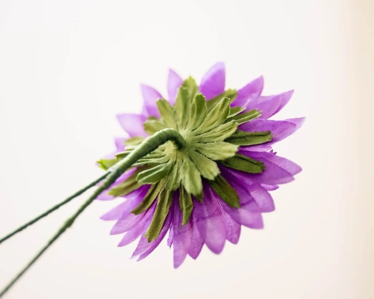 Boutonnière Aster Violett groß (Aster violaceum) - Ansicht 3