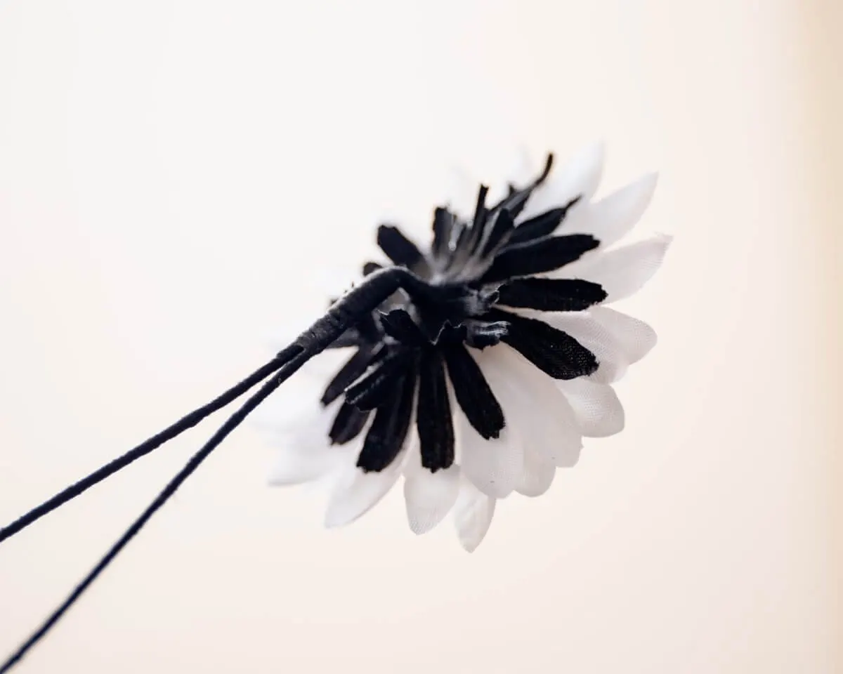 Boutonnière Aster Weiß groß (Aster album) - Ansicht 3
