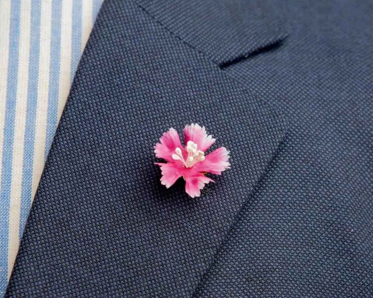 Boutonnière Bartnelke Mini (Dianthus barbatus)