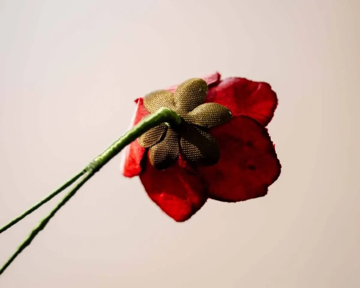 Boutonnière Christrose Rot (Helleborus niger) - Ansicht 3