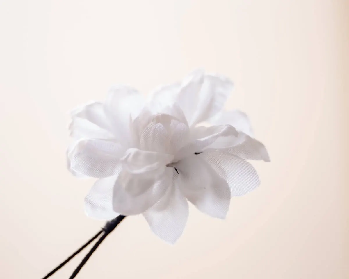 Boutonnière Dahlie Weiß (Dahlia album) - Ansicht 2