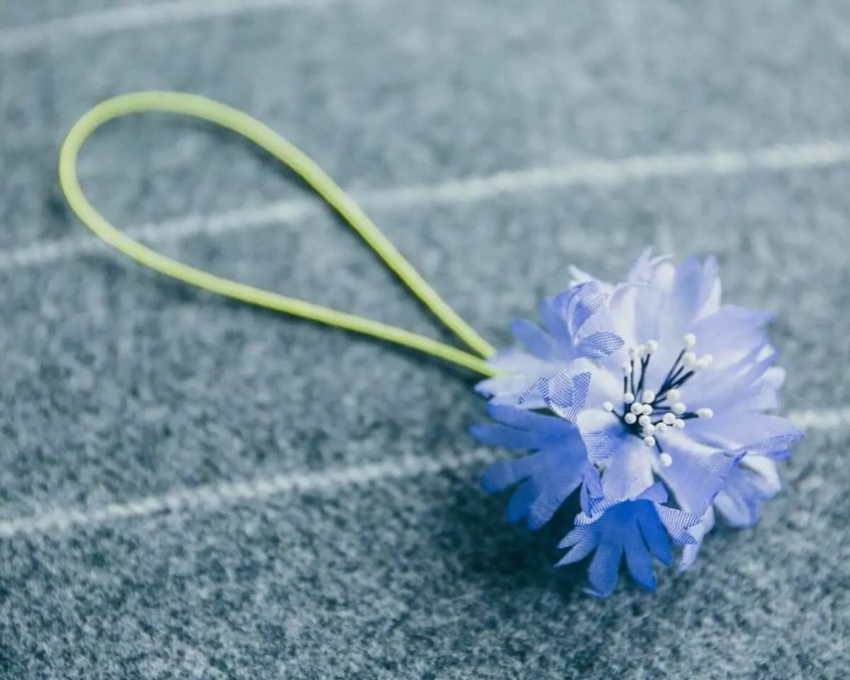 Boutonnière - die Knopflochblume im Nahbereich