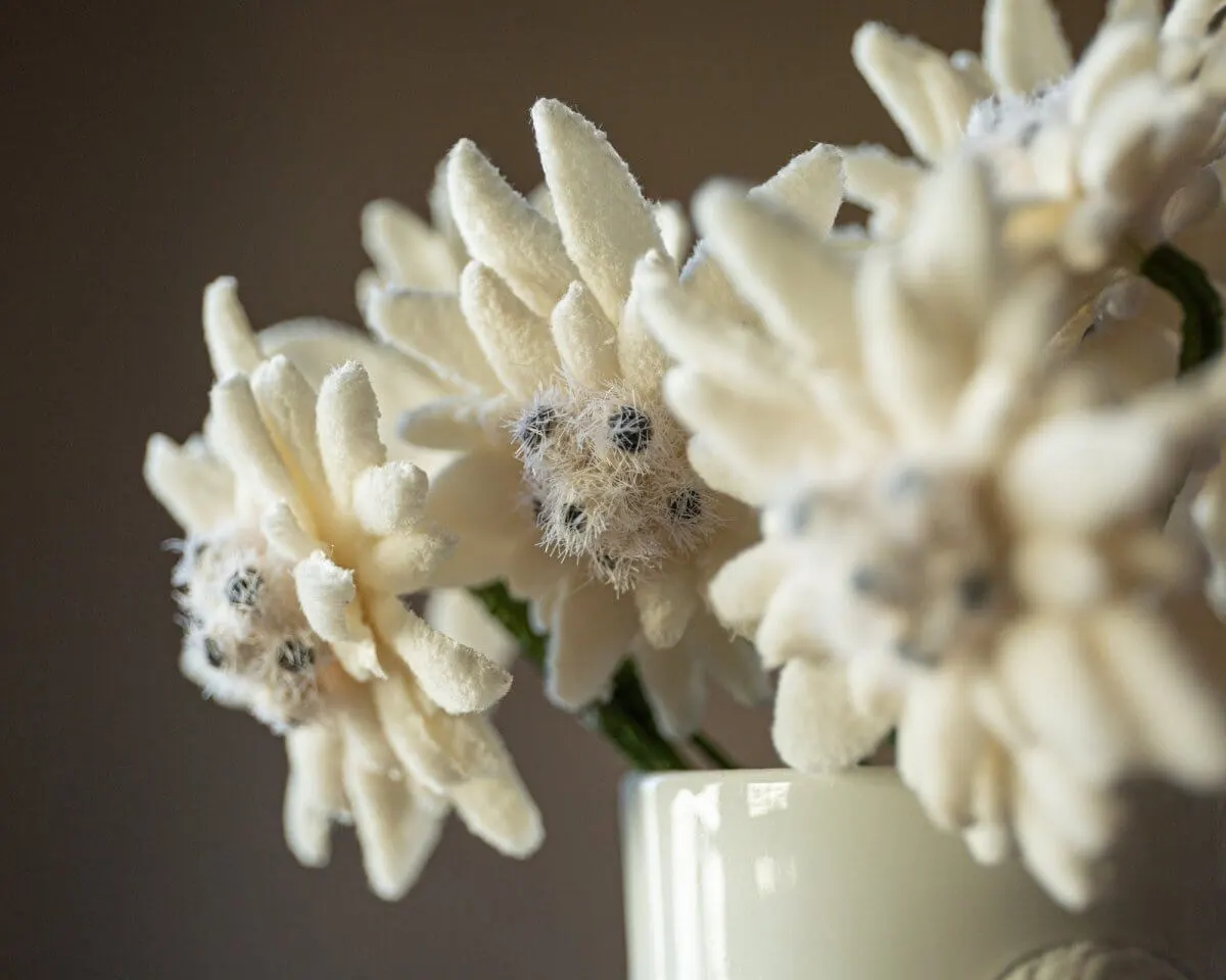 Boutonnière Edelweiß (Leontopodium alpinum) - Ansicht 14