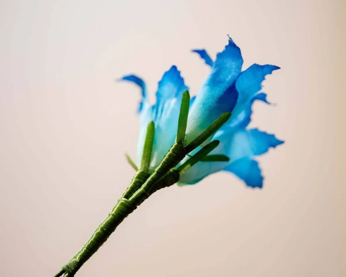 Boutonnière Enzian 3er (Gentianaceae) - Ansicht 3