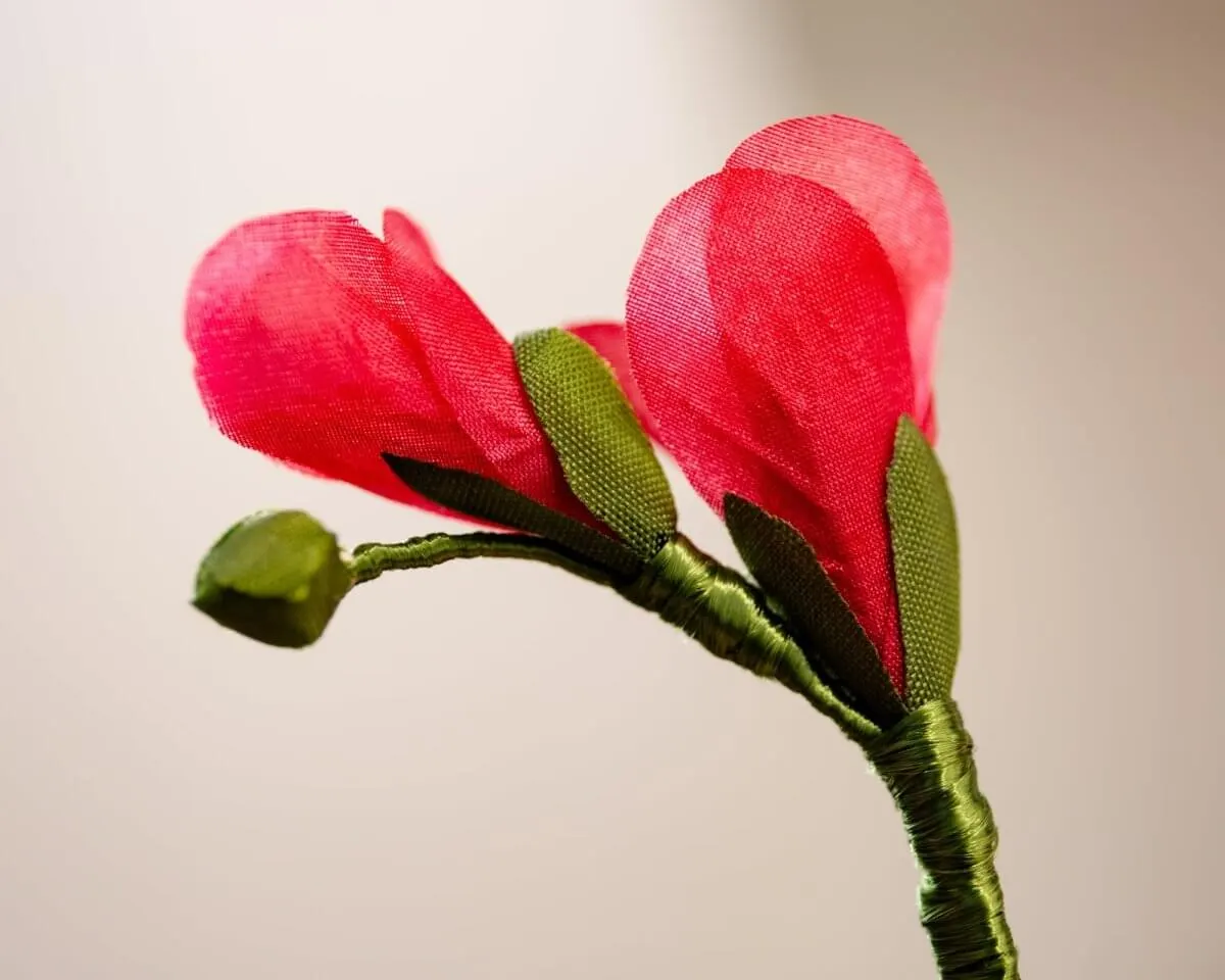 Boutonnière Freesie Rot (Freesia rubrum) - Ansicht 3