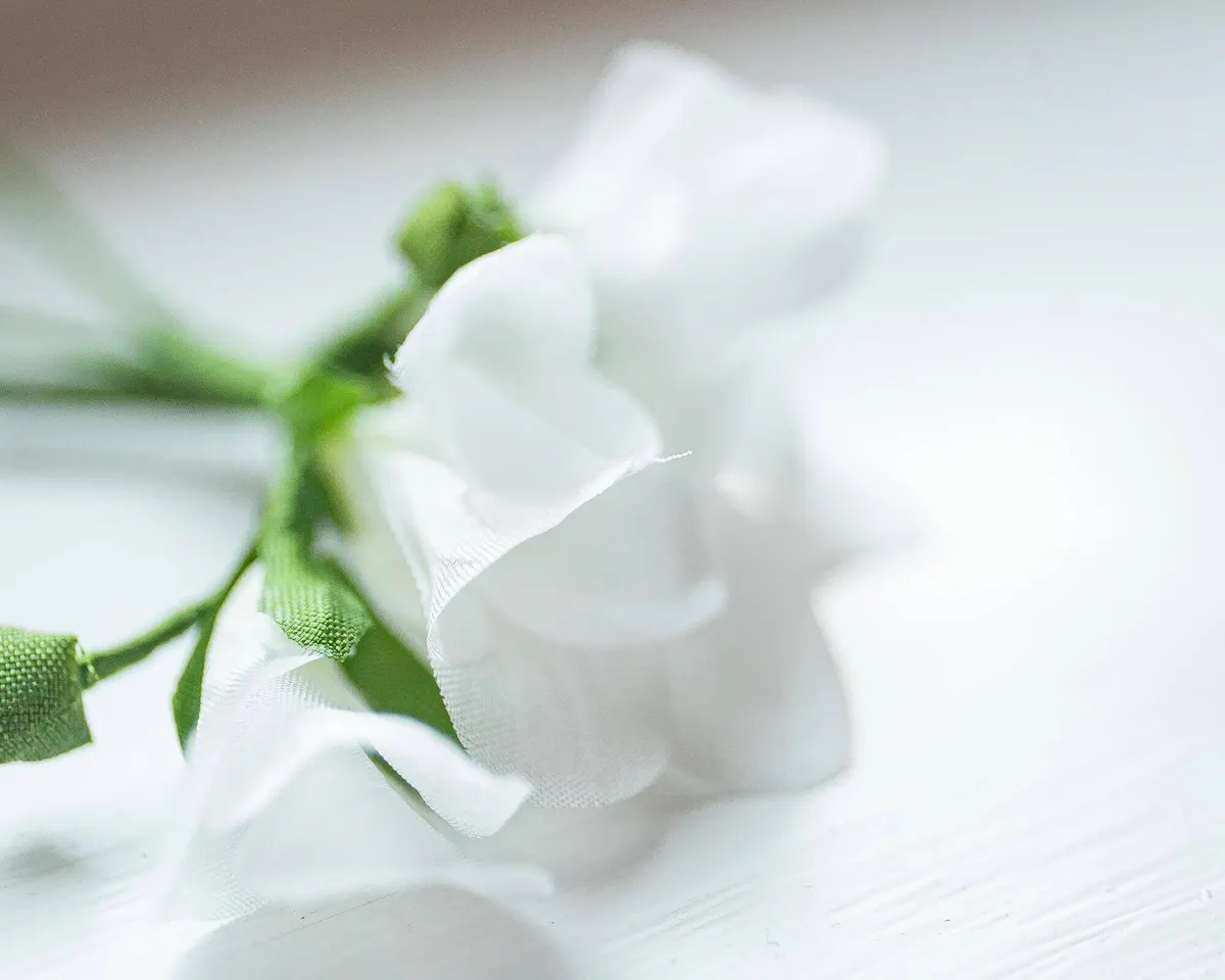 Boutonnière Freesie Weiß (Freesia alba) - Ansicht 8