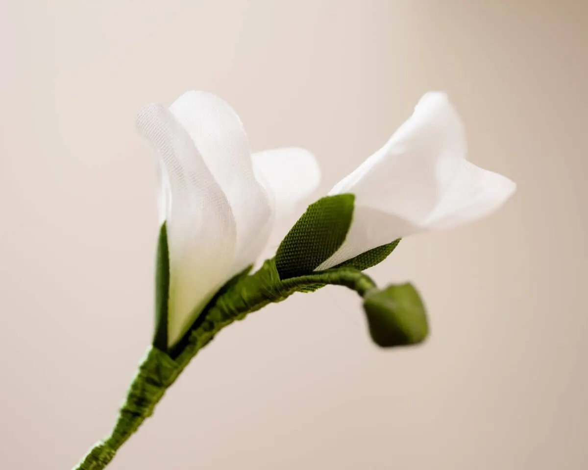 Boutonnière Freesie Weiß (Freesia alba) - Ansicht 2