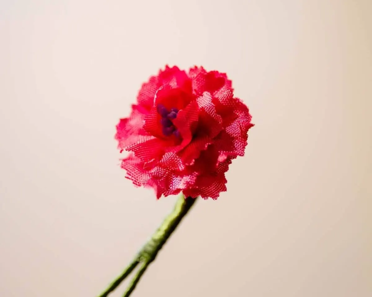 Boutonnière Geranie Rosa Mini (Geranium roseum) - Ansicht 2