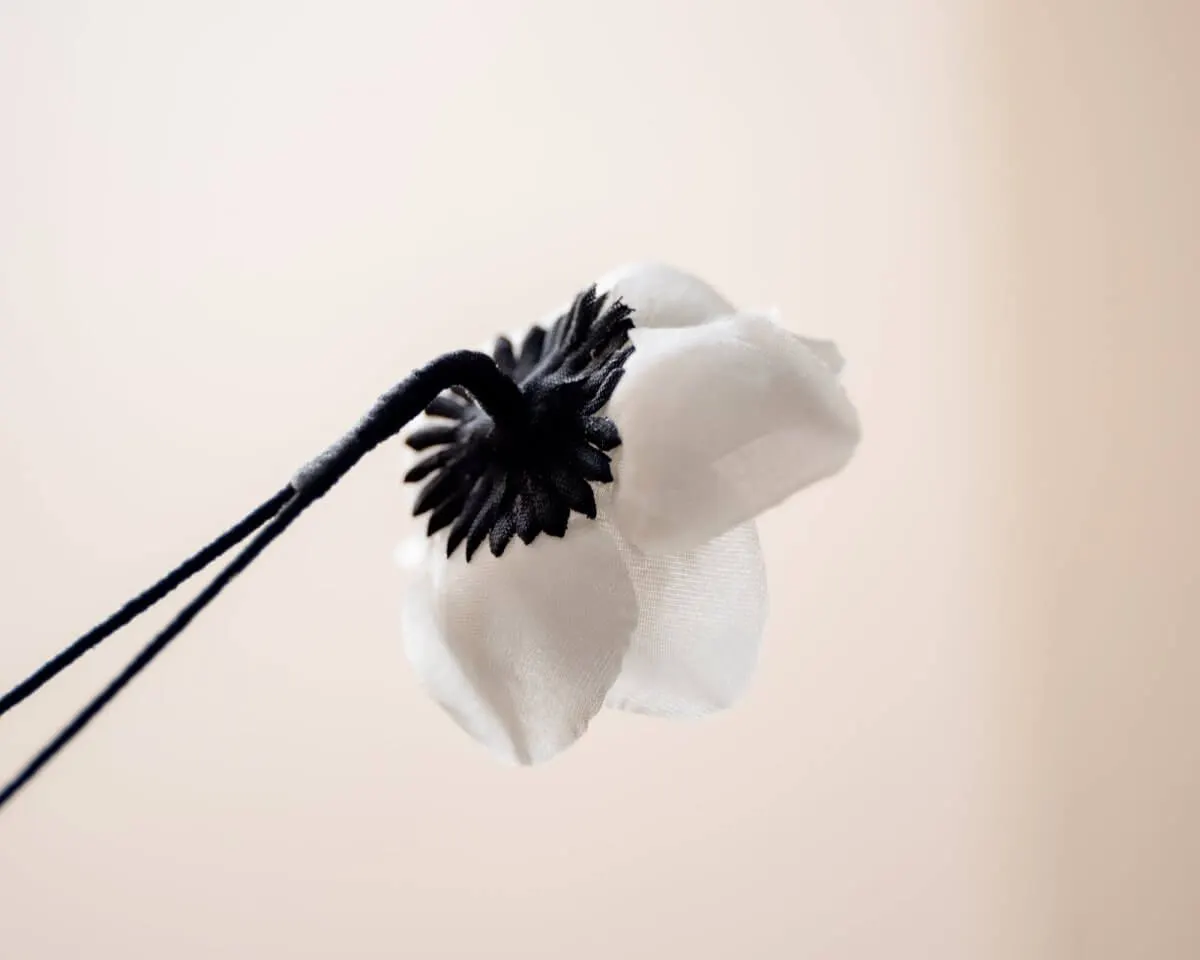 Boutonnière Hecken-Rose Weiß (Rosa corymbifera) - Ansicht 3