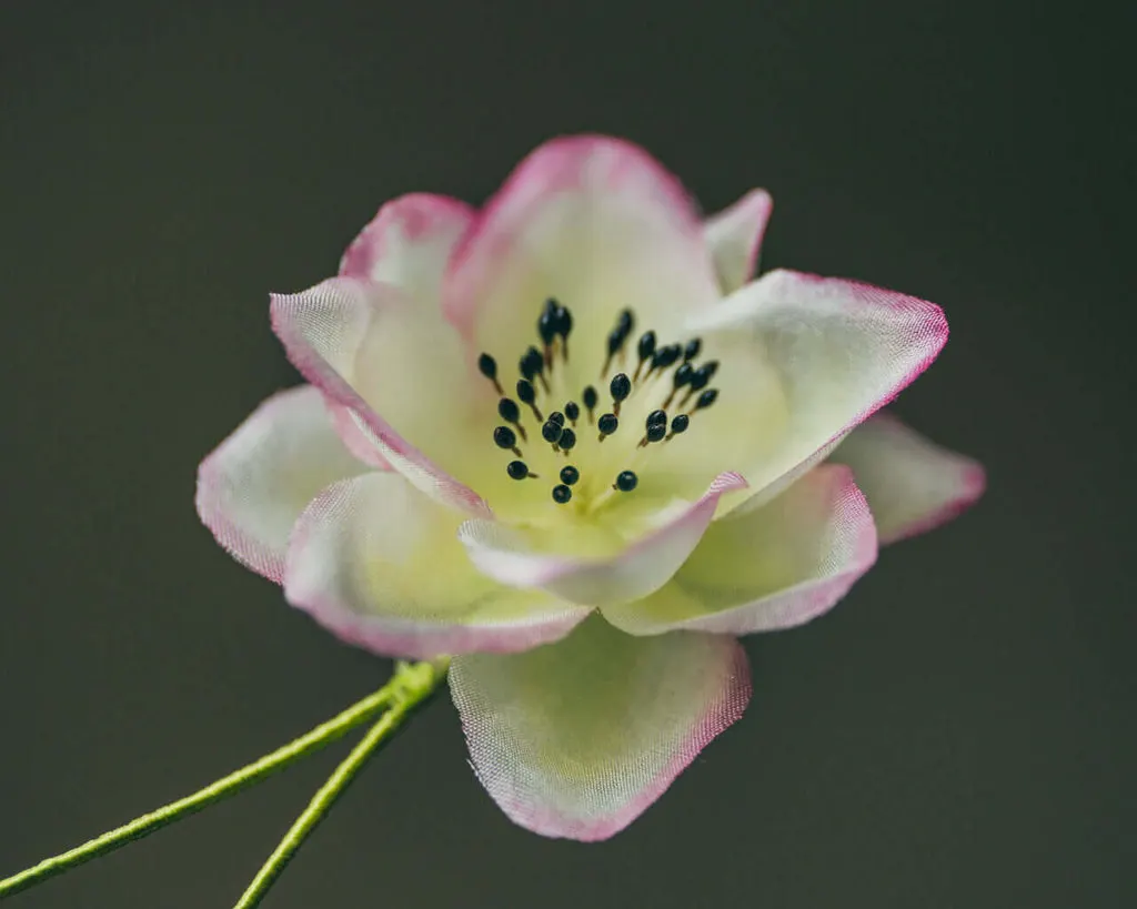 Boutonnière Heckenrose für den Bräutigam zur Hochzeit
