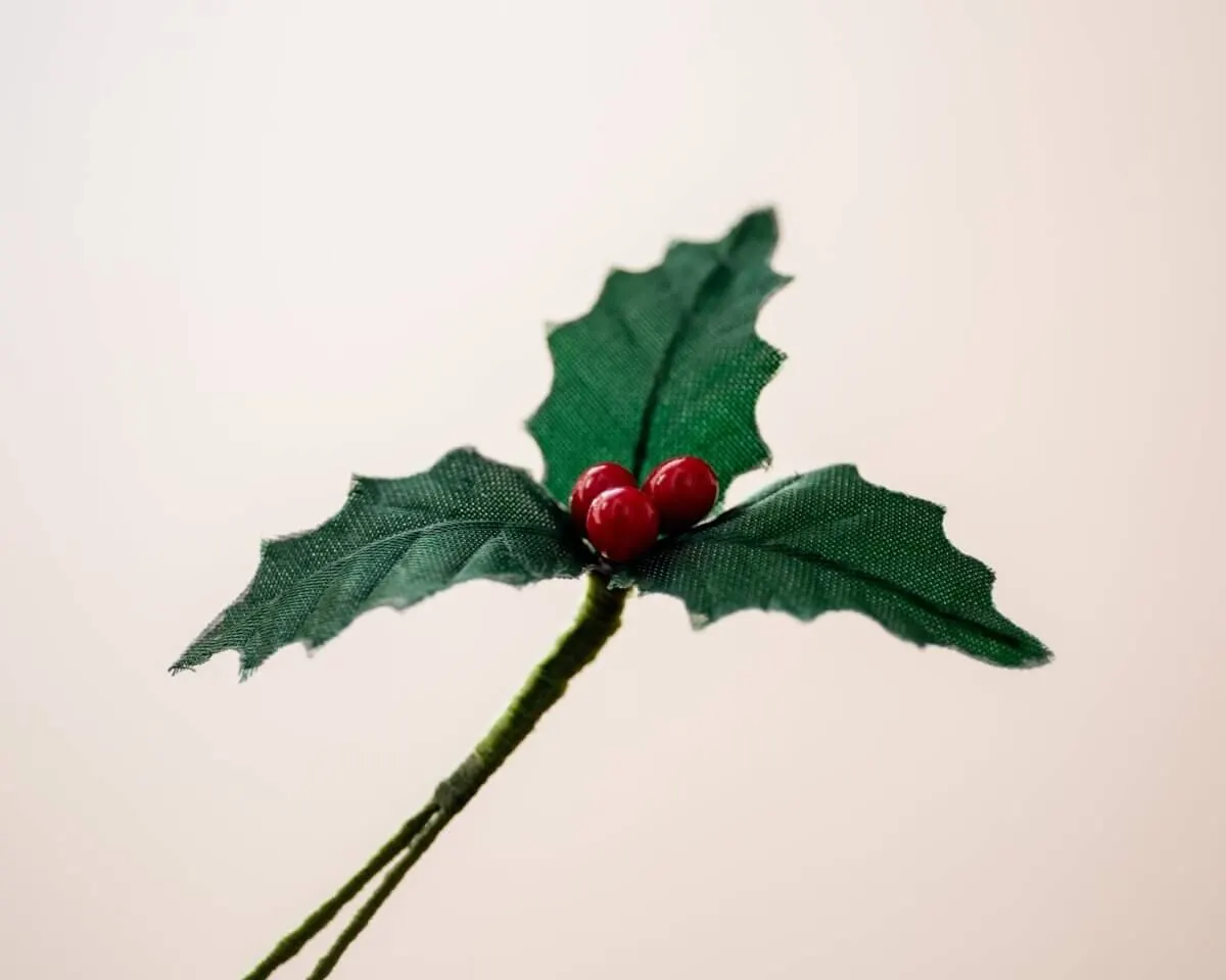 Boutonnière Ilex 'Bing Crosby' klein (Ilex aquifolium) - Ansicht 2