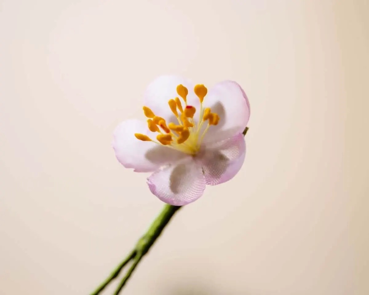 Boutonnière Kirschblüte Rosa Mini (jap. sakura) - Ansicht 2