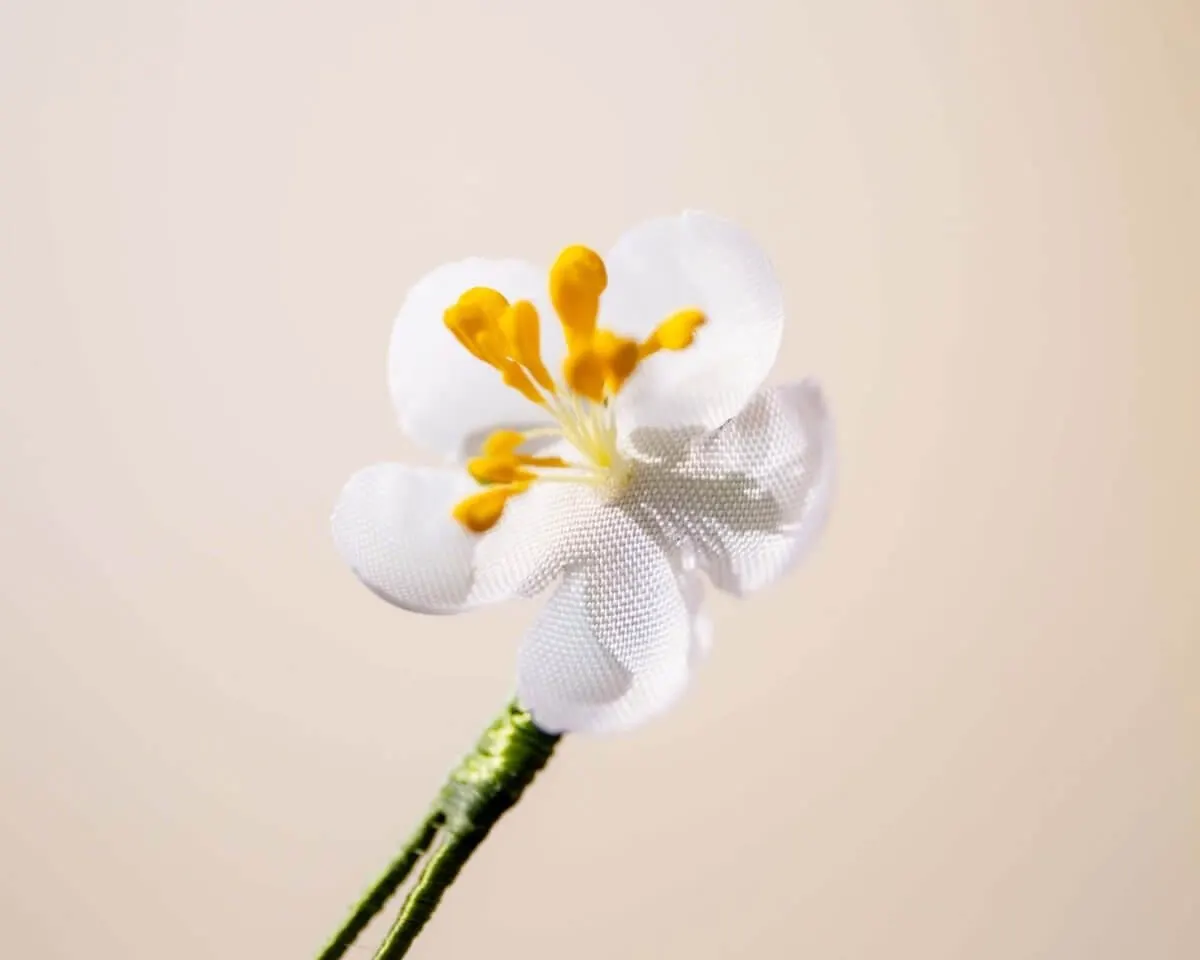 Boutonnière Kirschblüte Weiß Mini (jap. sakura) - Ansicht 2