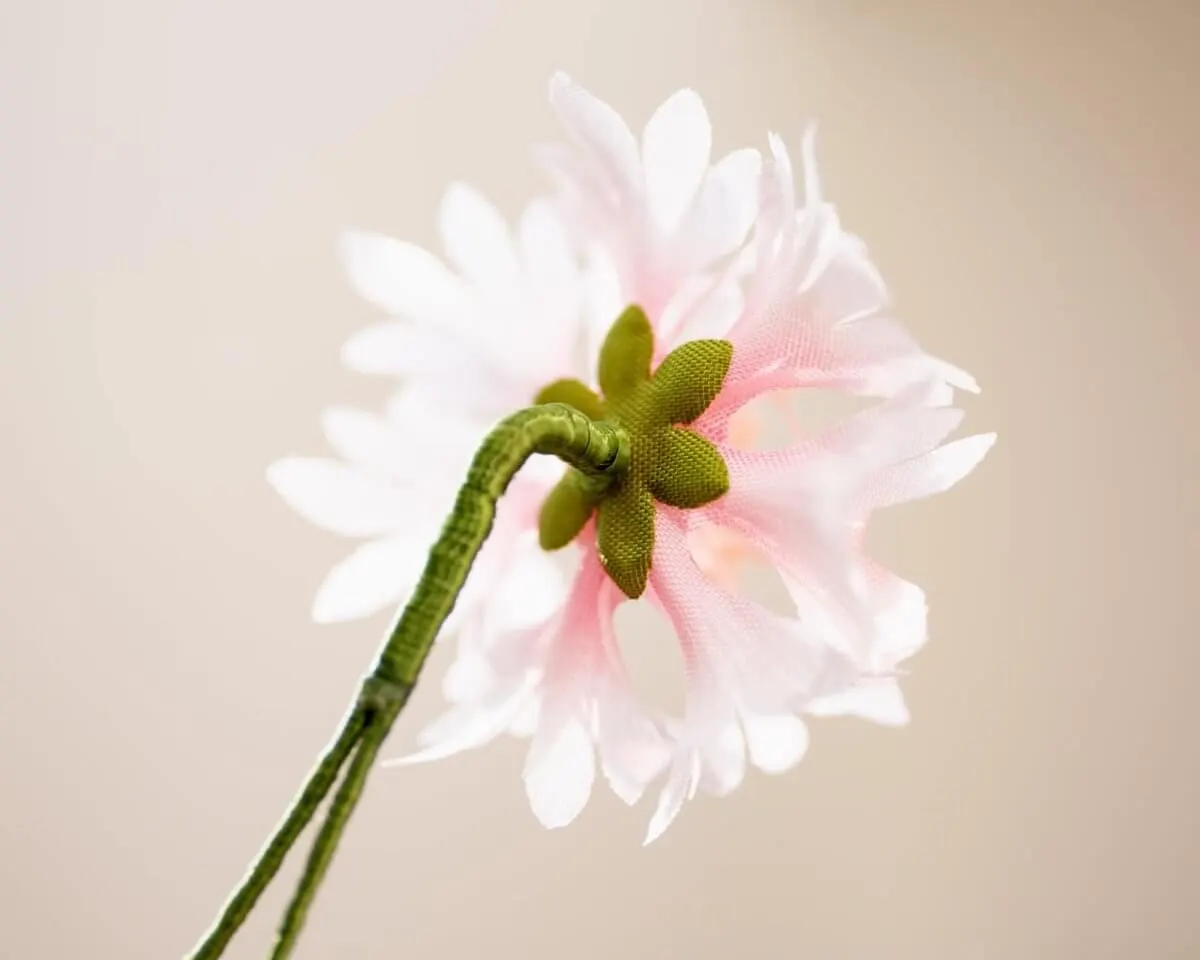 Boutonnière Kornblume Rosa (Cyanus segetum) - Ansicht 3