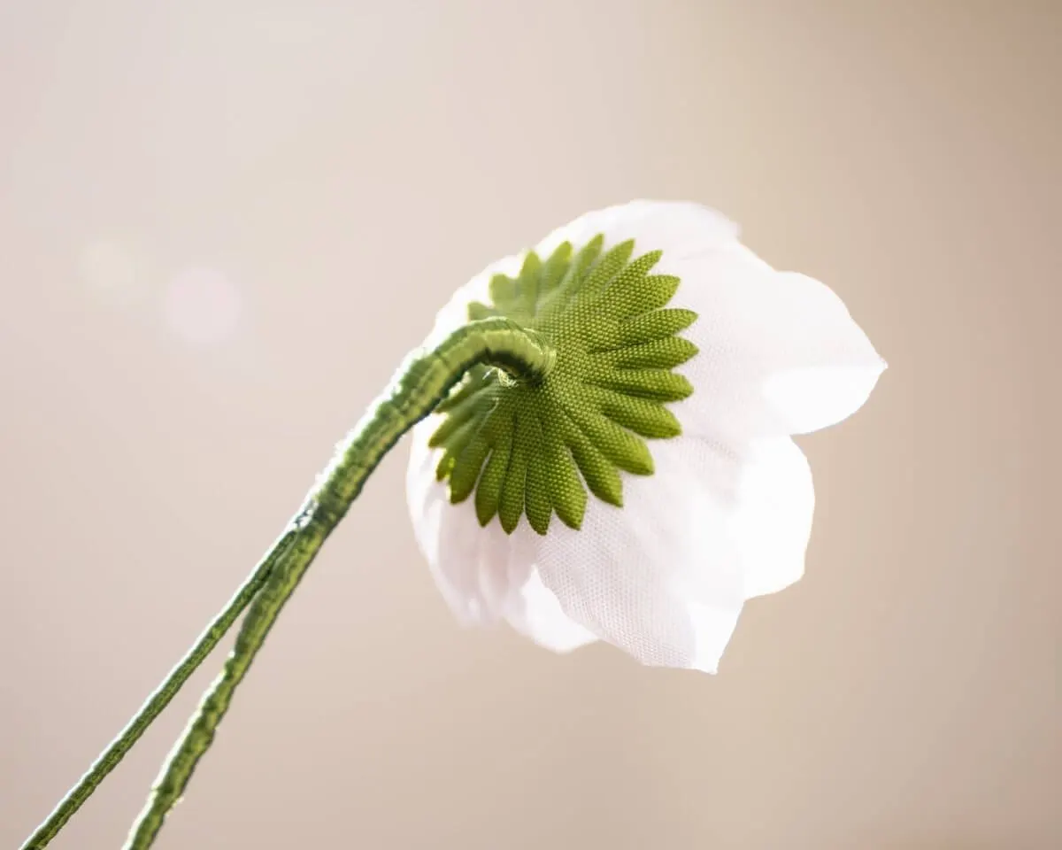 Boutonnière Lotusblüte Weiß-Braun (Nelumbo) - Ansicht 3