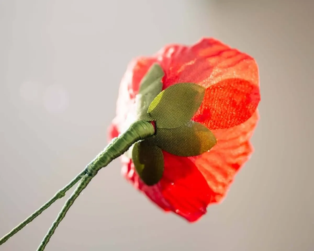 Boutonnière Mohnblume Rot (Papaver rhoeas) - Ansicht 3