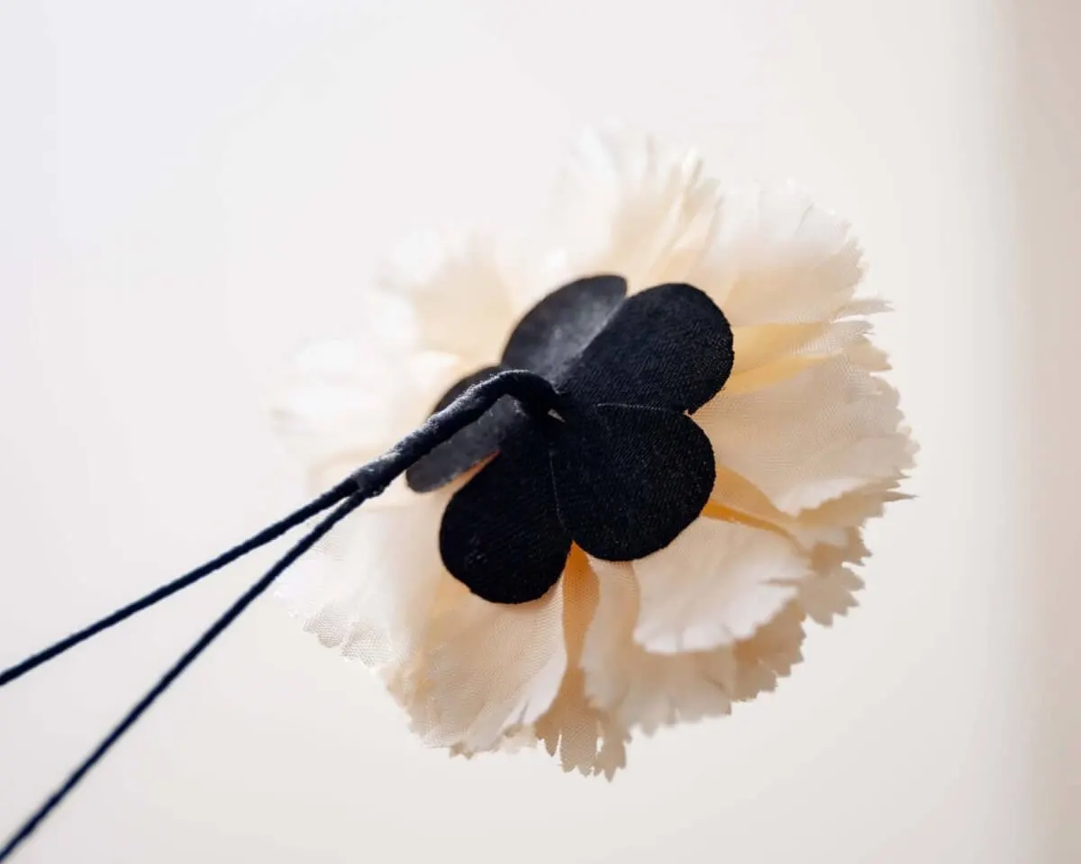 Boutonnière Nelke Creme b Mittel (Caryophyllaceae) - Ansicht 3
