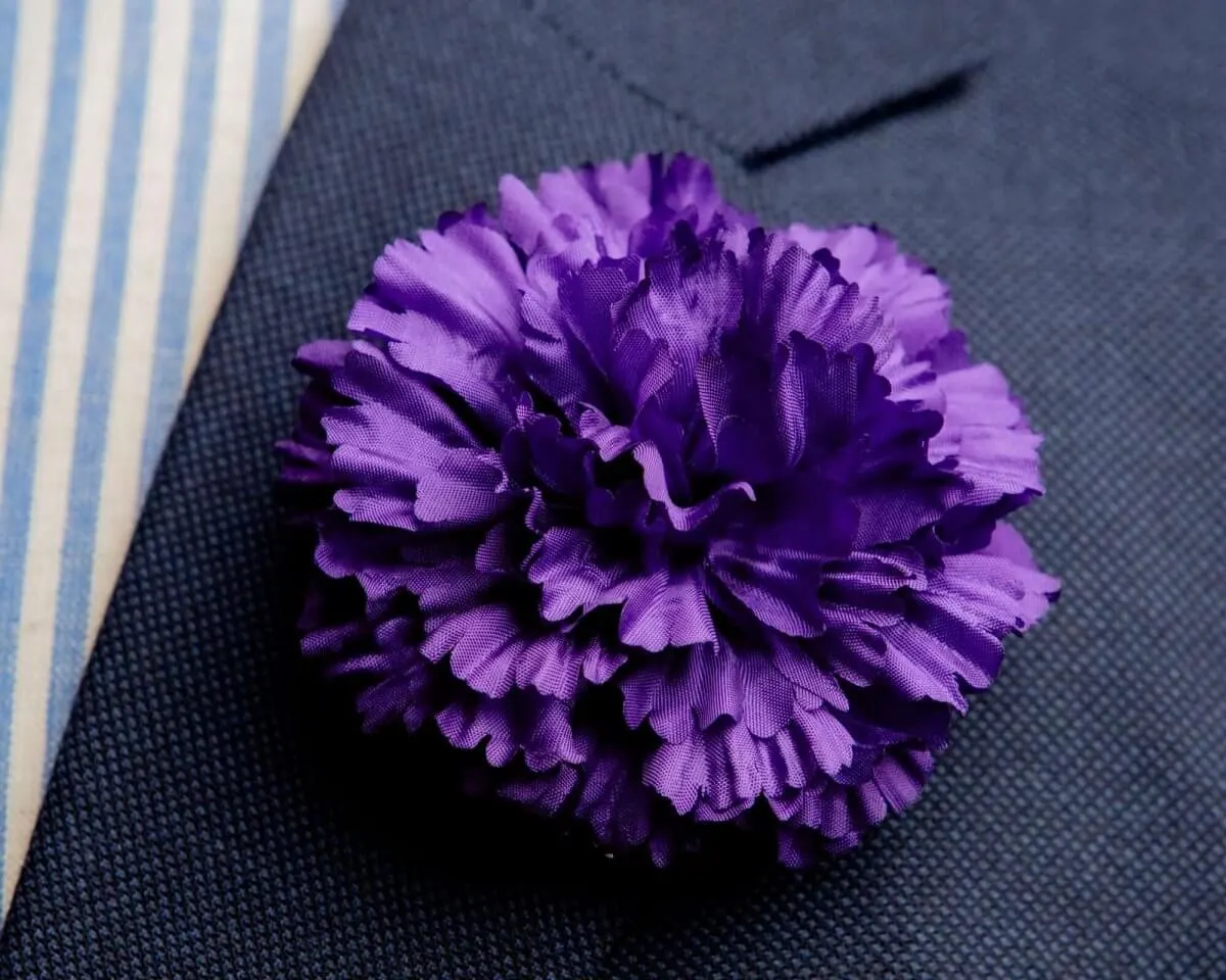 Boutonnière Nelke Lila c Groß (Caryophyllaceae)