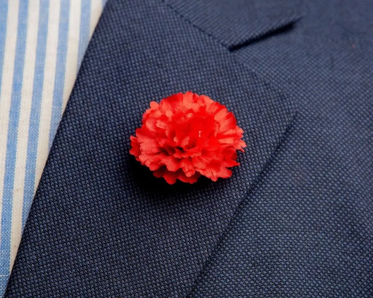Boutonnière Nelke Rot a Klein (Caryophyllaceae)