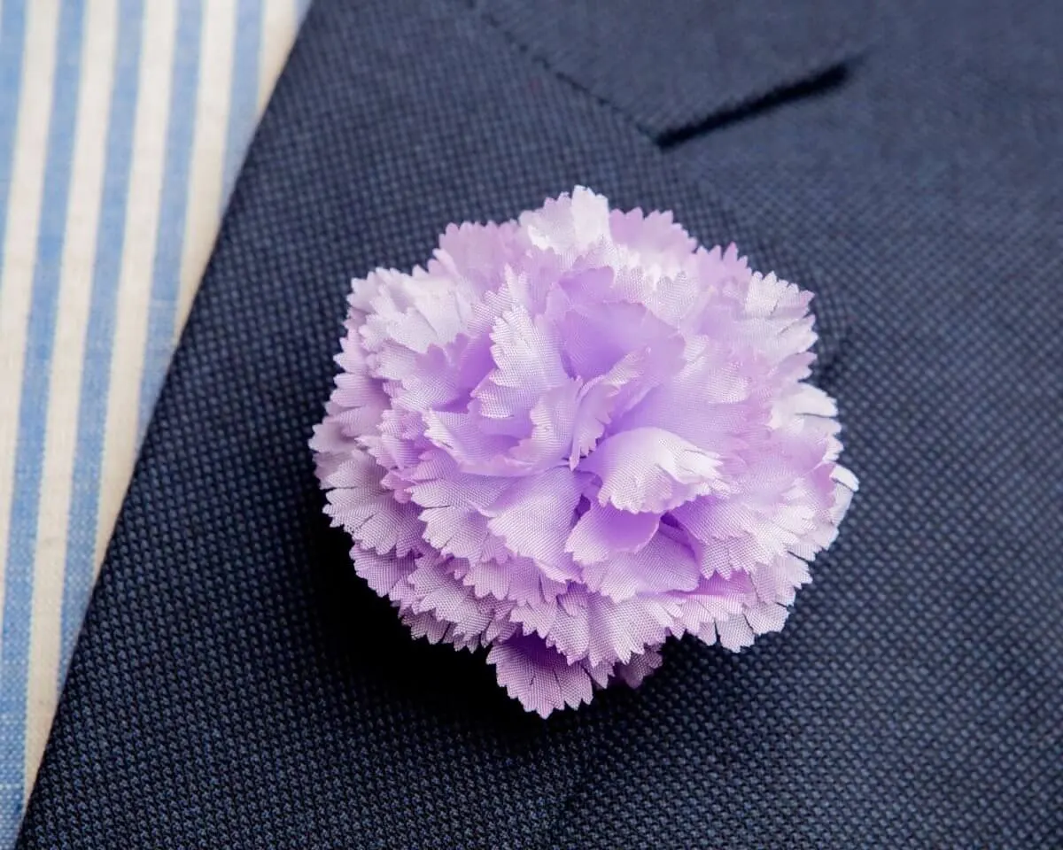 Boutonnière Nelke Violett b Mittel (Caryophyllaceae)