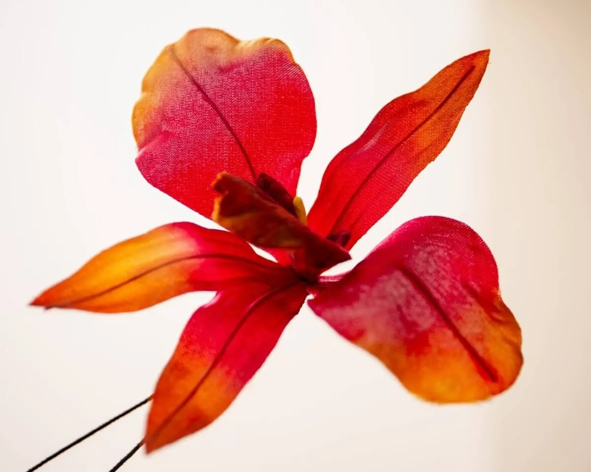 Boutonnière Orchidee Rot-Kupfer (Burrageara Cambria) - Ansicht 2