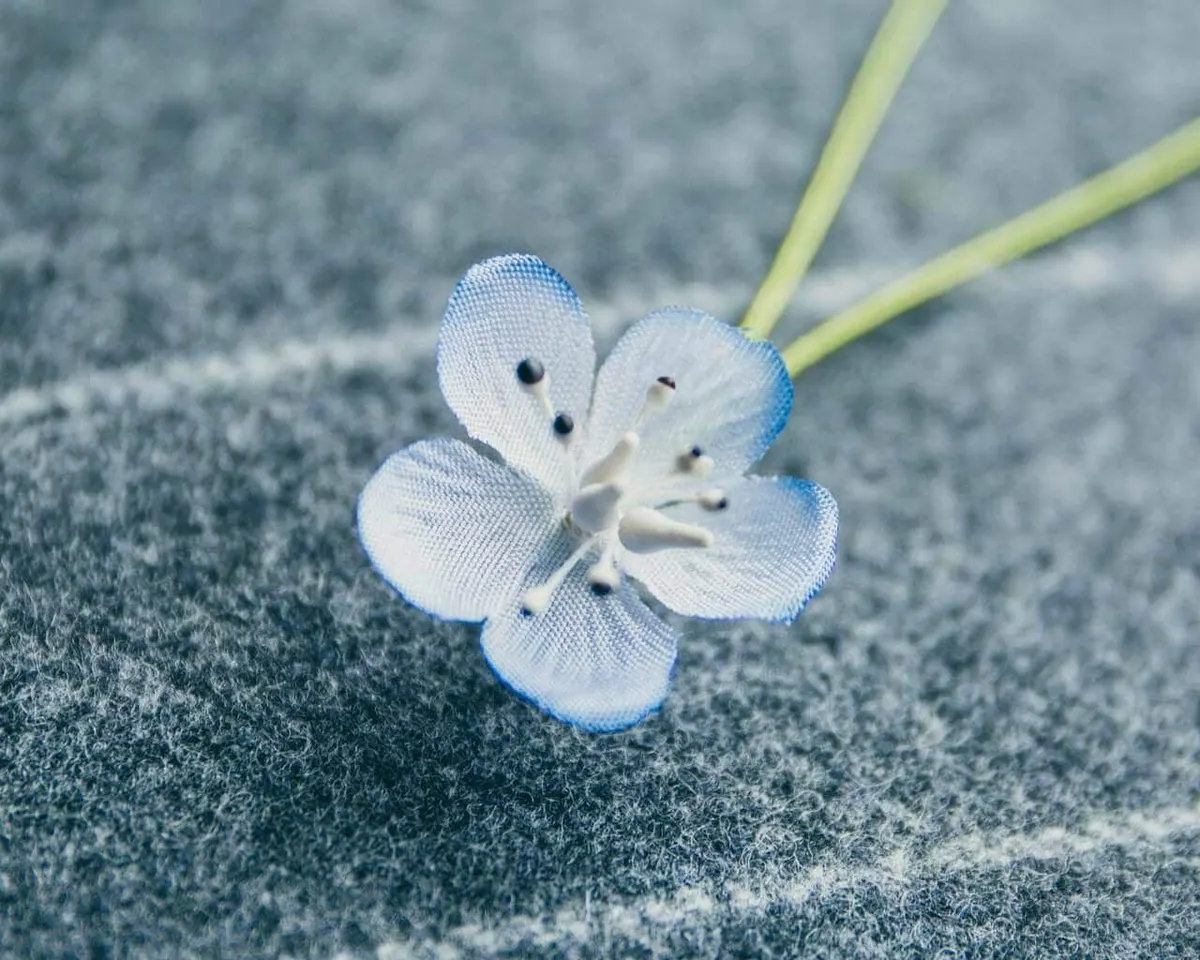 Boutonnière Persischer Ehrenpreis Mini (Veronica persica) - Ansicht 5