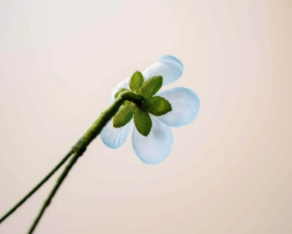 Boutonnière Persischer Ehrenpreis Mini (Veronica persica) - Ansicht 3
