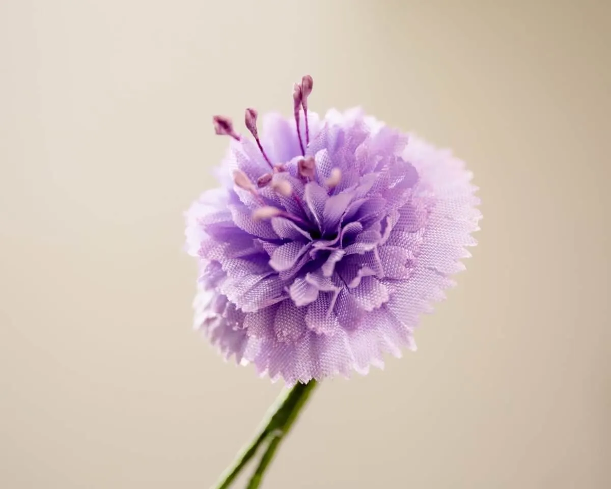 Boutonnière Skabiose (Scabiosa japonica) - Ansicht 2