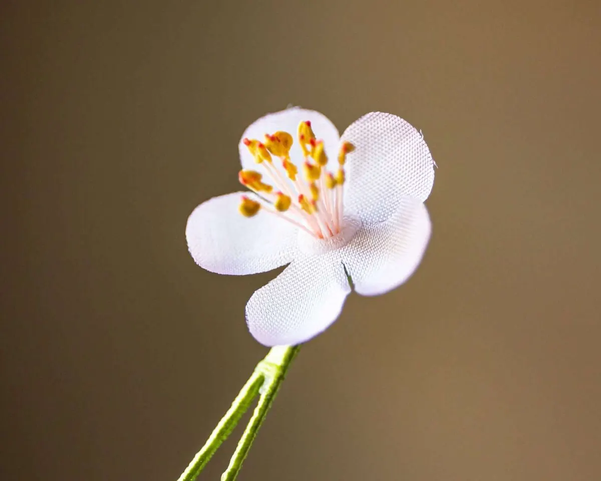Boutonnière Kirschblüte Rosa Mini (jap. sakura) - Ansicht 4