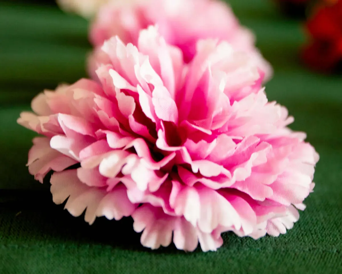 Boutonnière Nelke Magenta c Groß (Caryophyllaceae) - Ansicht 4