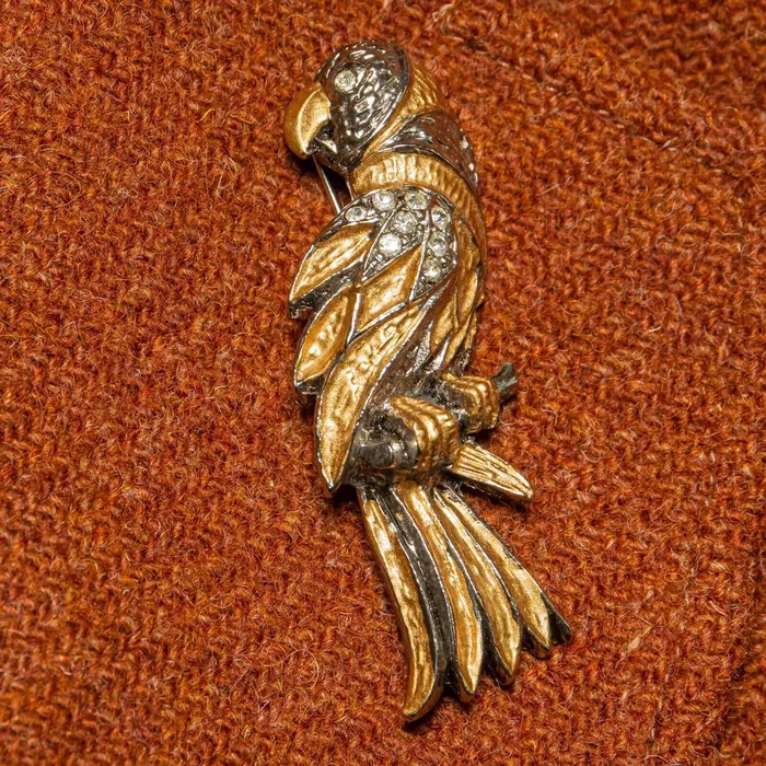 Brooch Parrot c - representative image, shown here: Brooch Parrot e